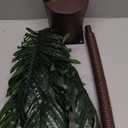 OUSHENG Solar Lighted Palm Trees for Outside Patio, Bar Pool Deck Outdoor Decorations Decor, Light Up LED Artificial Fake Tree Lights for Yard Tropical Party Christmas (6FT), 
Warm White Green