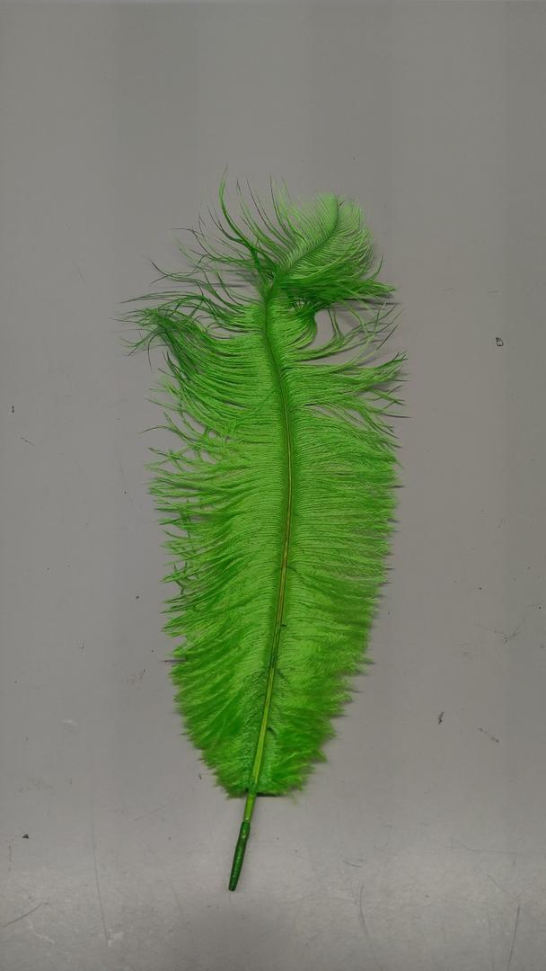 1 Pc Ostrich SPAD Feather Plume 13" - Lime