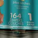 Pampers Swaddlers Diapers, Size 1 (8-14 lbs), 164 Count, Fragrance Free, Hypoallergenic, Absorbent, Pediatrician Recommended, Skin Safe