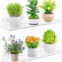Lifewit Window Plant Floating Shelves 14.6x3.6, 2 Pack Acrylic Suction Cup Shelf, Window Sill Extender for Indoor Succulent Plants, Micro Greens, Seed Starter Pots, Herb Planters 37 x 9 cm/14.6x3.6, 3.9 X 14.96 X 1.89 Inches