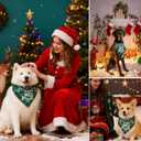 2 x Christmas Dog Bandanas Pets Funny Holiday Costume Gift Xmas Stocking Stuffers - Naughty Nice I Tried, Green Plaid, Medium & Large Breed, 25-75lbs