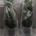 Artificial Topiary Trees 3 Foot Artificial Cedar Trees UV Resistant Potted Plant Set of 2 Faux Bushes Fake Shrubs for Outdoor Indoor Front Porch Garden
