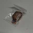 Maxjoy for Cute Airpods Pro 2 case with Safety Lock,Compatible Airpods Pro Case 2nd/1st Gen,for Leopard Print AirPods Case Cover for Women Girly with Keychain-Gold