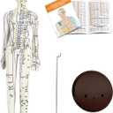 Acupuncture Model, Human Acupoint Model 20.5in Full Body Silicone Professionals Clear Identification with Base for Chinese Medicine Teaching Acupoint Student Demonstration (Female