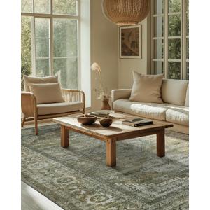 Washable Rugs 8x10 Area Rugs for Living Room Bedroom, 8x10 Washable Thin Chenille Green Rug, Distressed Sage Carpet, Low Pile Thin Mat with Non Slip Backing (8' x 10', Green/Olive)