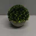 Artificial Boxwood Faux Plant Indoor- Topiary Small Desk Plant Decor for Bedroom Office Cubicle Shelf Decor Window Will Plant Shelf Decoration Dorm Kitchen Counter, Farmhouse Home Decor Accent