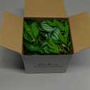 Der Rose 4Pcs Small Fake Plants Black Artificial Mini Faux Plants for Bathroom Office Desk Shelf Table Accessories Decor Indoor