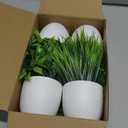 Der Rose 4 Pack Fake Plants Small Artificial Faux Potted Plants for Living Room Home Office Farmhouse Bathroom Kitchen Decor Indoor