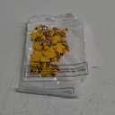 XunYee 30 Sets Pocket Hug Bee Themed Gifts Back to School Bee Party Favors Appreciation Gifts for Employee Staff Coworker Adults Goodie Bag Stuffers Mini Resin Pocket Hug Positive Cards with Bags