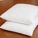 18 x 18 Inches Throw Pillow Inserts Set of 2 Decorative Down Alternative Pillow Filler for Cushion Covers