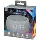 alarm clock and White noise machine