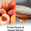 Air Wick Plug in Scented Oil Refill, 7 ct, Peach & Sweet Nectar, Air Freshener, Essential Oils (4.73 Fl Oz (Pack of 1))