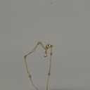 14K Gold plated Rope Necklace Chain 925 Sterling Silver Clasp plated Rope Necklace for Women Men 2mm Gold Necklace(14)