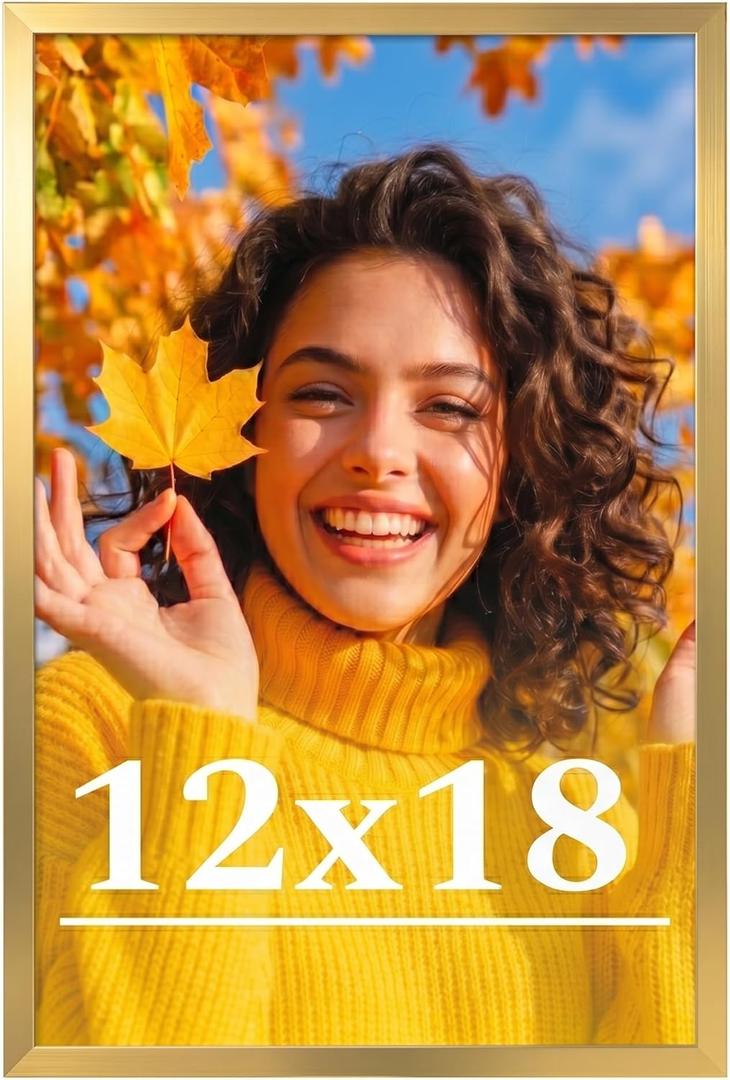 12x18 Picture Frame for Wall Display, 12x18 Gold Picture Frame with Shatter Resistant Plexiglass, Stable and Sturdy 12 x 18 Poster Frame for Wall Display, Handpicked Gift Collection, 1 Pack