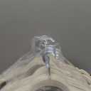 Premium Velvet Shirt Hangers 30 Pack, Non-Slip 360 Swivel Hook Slim Flocked Coat Hanger, Space Saving Felt Hanger for for Tank Top, Blouses, Strappy Dresses (Beige)