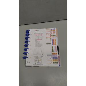 Happy Planner Disc-Bound 12-Month July 2025June 2026 Planner with 3 Extra Months, Classic Size, Teacher Layout, Teacher Notes