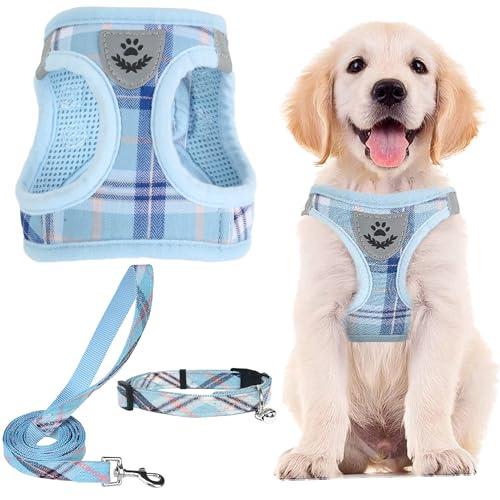 PUPTECK Adjustable Dog Harness Collar and Leash Set Step in No Pull Pet Harness for Small Medium Dogs Puppy and Cats Outdoor Walking Running, Soft Mesh Padded Reflective Vest Harnesses, Blue XL
