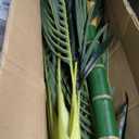 Nearly Natural 6.5ft Artificial Golden Cane Palm Tree, Lifelike Silk Indoor Palm With Three Textured Trunks Flexible Fronds Nursery Planter, Low Maintenance