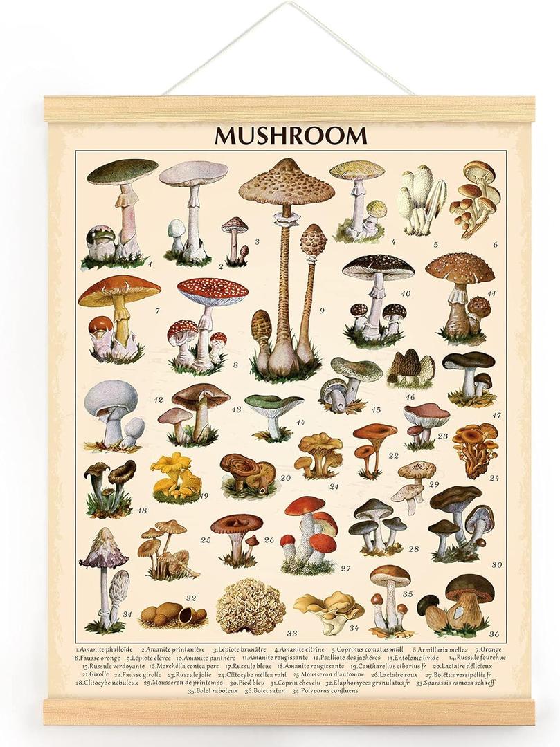 Vintage Mushroom Poster Fungus Wall Art Prints Rustic Mushroom Wall Hanging Illustrative Reference Chart Poster for Living Room Office Classroom Bedroom Dining Room Decor Frame, 15.7 x 19.7 Inches