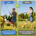 Flirt Pole for Dogs, Tether Tug Outdoor Dog Toy, Interactive Toys for Large Breed & Puppies, Agility Training Equipment, Durable Rope Toy with Chew Ball, Exercise & Training Tool