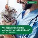 Advantage II Large Cat Vet-Recommended Flea Treatment & Prevention Cats Over 9 lbs. 2-Month Supply