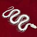 Taxidermy Real Animals Skulls, Real Bones Specimen, Taxidermy Supplies for Science Education, Special Gift (Snake Skeleton)