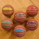 Wilson Evolution Basketballs, Size 6 - 28.5"