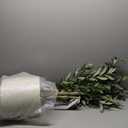 LOMANTO Artificial Olive Trees, 6 ft Tall Fake Olive Trees for Indoor, Faux Olive Silk Tree, Large Olive Plants with White Planter for Home Decor and Housewarming Gift, 1 Pack