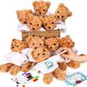 40 Pcs Make Your Own Stuffed Animal Bear Kit DIY Easter Plush Gift 10 Pcs 9.84 Inches Rose Velvet Bear 10 White T Shirt 10 Set 12 Color Pen and Card for Easter Party DIY Craft Gift(Brown)