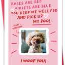 2 x Funny Dog Valentines Day Card - Roses Are Red Dog Card for Pet Owners (BT-157)