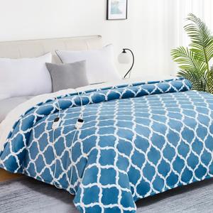 Homemate Heated Blanket Electric Queen Size - 84x90 Heating Blanket with 10 Fast Heat Levels 8 Hours Auto Off Ultra Soft Cozy Flannel Over-Heated Protection ETL Certification Keep Warming in Home