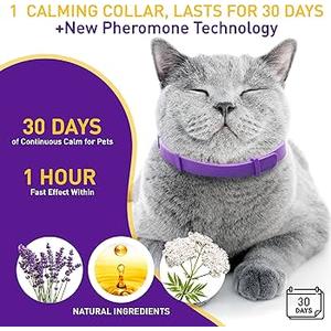 Calming Collar for Cats, Pheromone Cat Calming Collar for Anxiety Relief & Stress, Adjustable Water Resistant Breakaway Calming Collars, Natural Ingredients (Pack of 6)