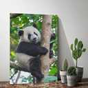Cute Panda Climbing Tree Room Aesthetics Posters Canvas Posters Bedroom Decoration Sports Office Decoration Gifts Wall Art Decoration Printing Posters 12x12 inch