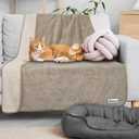 PetAmi Waterproof Dog Blanket, Leakproof Puppy Blanket for Medium Large Dog, Furniture Sofa Couch Cover Protector, Fleece Pet Throw Indoor Cat Kitten, Reversible Washable Soft Plush, 40x60 Taupe Beige