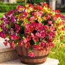 Artificial Flowers for Outdoor, 16 Bundles UV Resistant Fake Silk Flowers Mix Daisy, Realistic Faux Plants for Outside Indoor Porch Patio Window Box Planter Home Decor (Purple Pink Yellow Red)