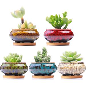 Cute Ceramic Succulent Garden Pots, Planter with Drainage and Attached Saucer, Set of 5 -Plants Not Included (Burner)