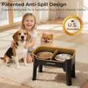 URPOWER Mess Proof Elevated Dog Bowls, High Wall Splash Guard Design, 4 Height Adjustable Raised Bowl Stand, 2 Stainless Steel Bowls, Non-Slip Food Water Set for Small, Medium Dogs