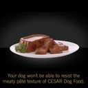 Cesar Classic Loaf in Sauce Adult Wet Dog Food with Duck, Oven Roasted Chicken, Grilled Chicken, and Turkey Recipes, 3.5 oz. Easy Peel Trays, Variety Pack (24 Count, Pack of 1) (EXP 09/30/27)