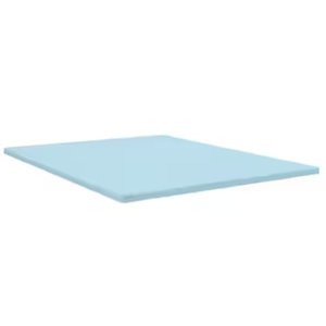 Sealy Dreamlife 1.5-Inches D Memory foam Queen Mattress topper