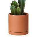 D'vine Dev Small 6 Inch Terracotta Plant Pot with Drainage Hole and Saucer, Round Cylinder Planter Pot for Indoor Plants, 40-X-A-3