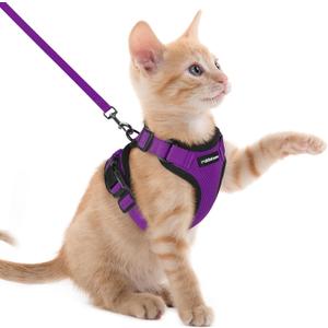 rabbitgoo Cat Harness and Leash for Walking, Escape Proof Soft Adjustable Vest Harnesses for Cats, Easy Control Breathable Reflective Strips Jacket, Purple, XXS rabbitgoo Cat Harness and Leash for Walking, Escape Proof Soft Adjustable Vest Harnesses for Cats, Easy Control Breathable Reflective Strips Jacket, Purple, XXS