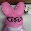 2 x Teacher Peeps plush