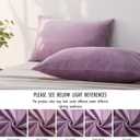 2 Pack Zippered Velvet Standard Pillowcases, Super Soft and Cozy Luxury Fuzzy Flannel Pillow Cases with Zipper, 20x26 Inches, Purple