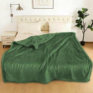 Electric Heated Blanket Full Size 72" x 84" - 5 Heat Settings & 10H Auto-Off, Micro plush Flannel & Sherpa Lining, Machine Washable, Overheat Protection, Ideal Gifts for Home/Bedroom/Sofa, Green
