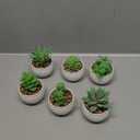 Der Rose Set of 6 Succulents Plants Artificial in Pots Small Fake Plants for Bedroom Aesthetic Living Room Shelf Bathroom Decor Office Desk Accessories (Green)