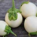 7 x 30+ Seeds Eggplant Round Mix - Vegetable Multicolor