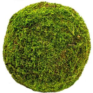 SuperMoss (21663) Moss Ball, Fresh Green, 8"