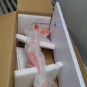 EVOTECH SCIENTIFIC Human Anatomical Muscular Arm Model, 7 Part Life Size Numbered Muscular Upper Limb Hand Model with Removable Muscles for Medical Physiology Study Teaching Includes Stand Poster