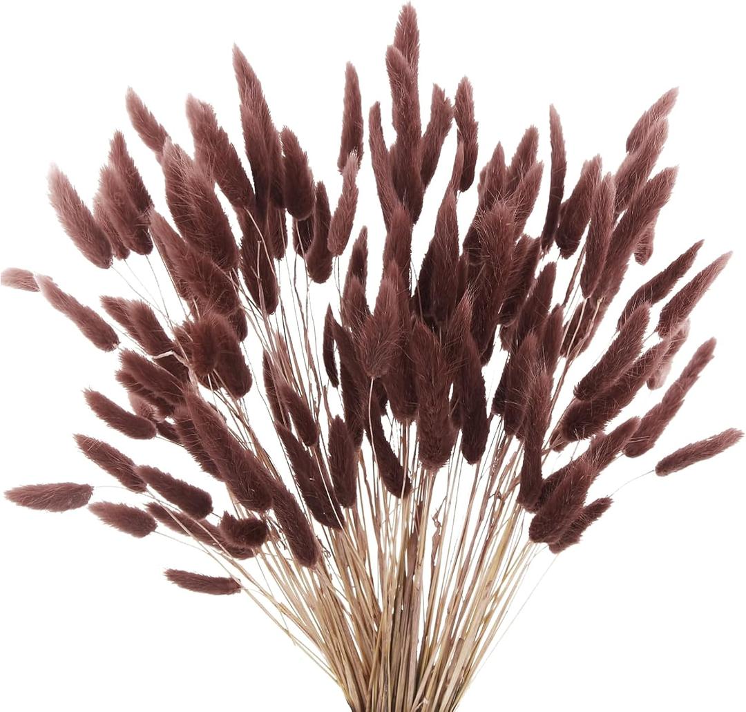 120pcs Dark Brown Bunny Tails Dried Flowers, 17" Ancora Red Brown Flowers Bulk Pampas Grass Bunny Tail Grass Rabbit Tail Grass Dried Floral Arrangements Dark Grass for Fall Home Decor Boho Wedding