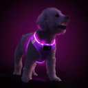 PceoTllar Light Up Dog Harness, LED No Pull Reflective Dog Harness, Flashing Lighted for Night Walking - Small/Medium, (Purple,M)